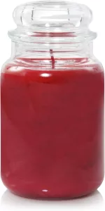 Vonná svíčka Yankee Candle Frosty Gingerbread 623 g