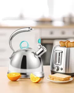Konvice na vodu nerezová 2,5l Harriet, na indukci