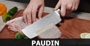 Profesionální nože značky PAUDIN, ušlechtilá damašková ocel,varianty, PAUDIN